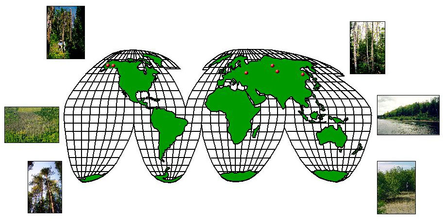 World map with test plots